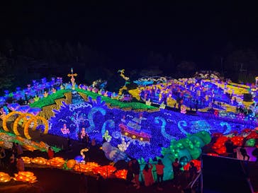 伊豆ぐらんぱる公園に投稿された画像（2022/12/3）