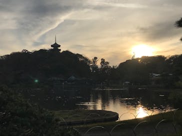 三溪園に投稿された画像（2022/12/3）