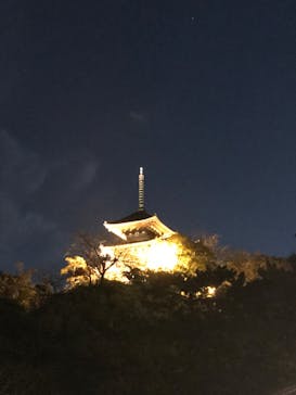 三溪園に投稿された画像（2022/12/3）