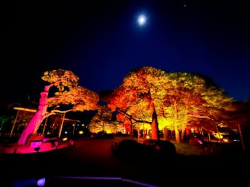 NAKEDヨルモウデ2022平安神宮に投稿された画像（2022/12/3）