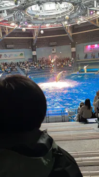 マクセル アクアパーク品川に投稿された画像（2022/12/3）