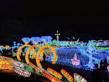 伊豆ぐらんぱる公園に投稿された画像（2022/12/3）