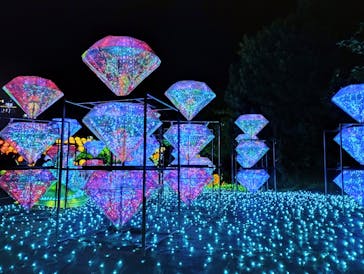 伊豆ぐらんぱる公園に投稿された画像（2022/12/3）