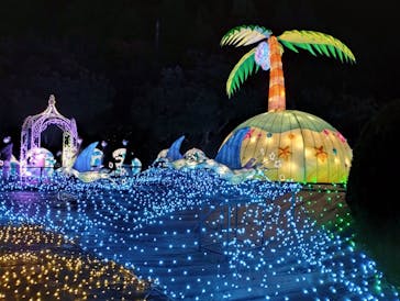 伊豆ぐらんぱる公園に投稿された画像（2022/12/3）