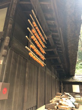 三溪園に投稿された画像（2022/12/3）