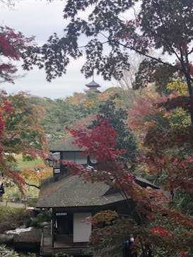 三溪園に投稿された画像（2022/12/3）