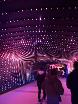 東京メガイルミに投稿された画像（2022/12/3）