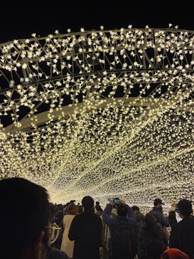 東京メガイルミに投稿された画像（2022/12/3）