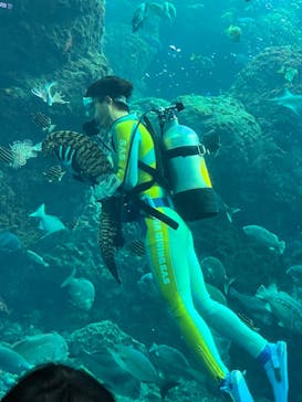 新江ノ島水族館に投稿された画像（2022/12/3）