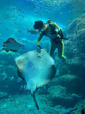 新江ノ島水族館に投稿された画像（2022/12/3）