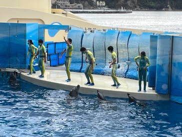 新江ノ島水族館に投稿された画像（2022/12/3）