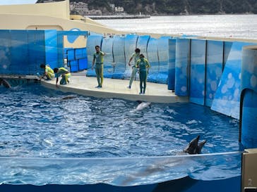 新江ノ島水族館に投稿された画像（2022/12/3）
