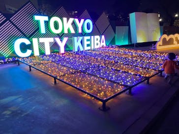 東京メガイルミに投稿された画像（2022/12/3）