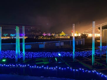 東京メガイルミに投稿された画像（2022/12/3）