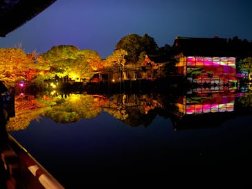 NAKEDヨルモウデ2022平安神宮に投稿された画像（2022/12/3）