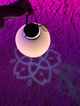 NAKEDヨルモウデ2022平安神宮に投稿された画像（2022/12/3）