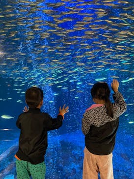 南知多ビーチランド＆南知多おもちゃ王国に投稿された画像（2022/12/3）