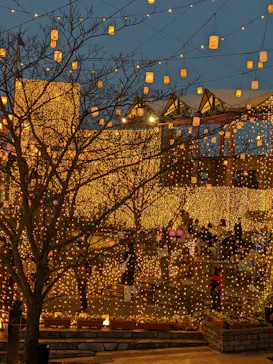 ひらかたパークに投稿された画像（2022/12/3）