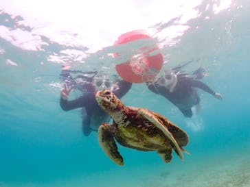 ちゃこたびに投稿された画像（2022/12/3）