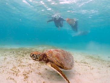 ちゃこたびに投稿された画像（2022/12/3）