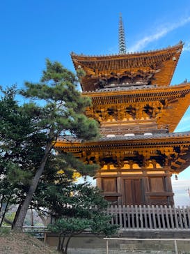 三溪園に投稿された画像（2022/12/3）