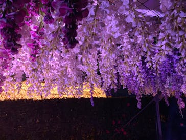 東京メガイルミに投稿された画像（2022/12/3）