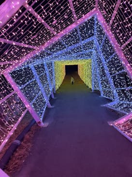 KYOTO ILLUMINATION SYNESTHESIA HILLS るり渓温泉に投稿された画像（2022/12/3）