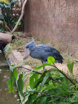 神戸どうぶつ王国に投稿された画像（2022/12/3）