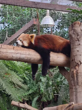 神戸どうぶつ王国に投稿された画像（2022/12/3）