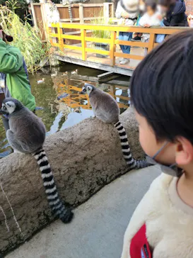 神戸どうぶつ王国に投稿された画像（2022/12/3）