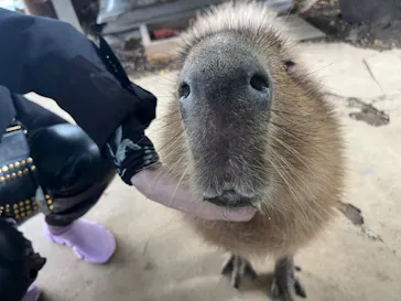 横浜・八景島シーパラダイスに投稿された画像（2022/12/4）