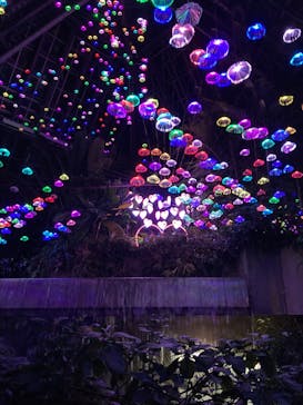 大阪府立花の文化園に投稿された画像（2022/12/4）