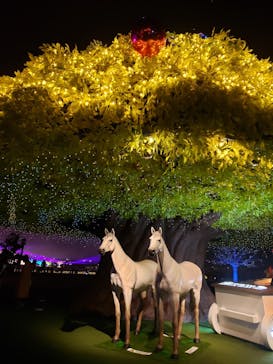 東京メガイルミに投稿された画像（2022/12/4）