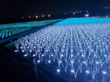 東京メガイルミに投稿された画像（2022/12/4）