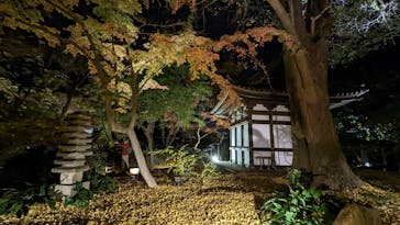 三溪園に投稿された画像（2022/12/4）