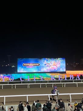 東京メガイルミに投稿された画像（2022/12/4）