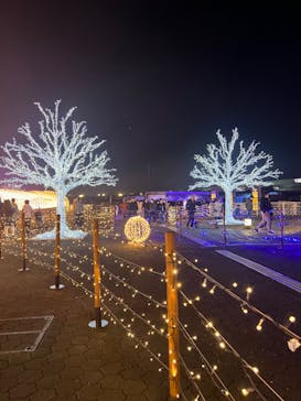 東京メガイルミに投稿された画像（2022/12/4）