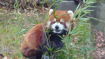 天王寺動物園に投稿された画像（2022/12/4）