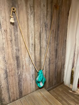 ニジゲンノモリに投稿された画像（2022/12/4）