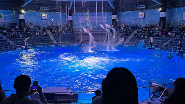 マクセル アクアパーク品川に投稿された画像（2022/12/4）