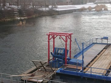 サケのふるさと 千歳水族館に投稿された画像（2022/12/4）