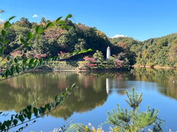 ムーミンバレーパークに投稿された画像（2022/12/4）