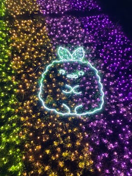 さがみ湖MORI MORIに投稿された画像（2022/12/4）