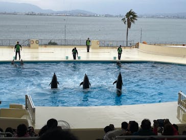 マリンワールド海の中道に投稿された画像（2022/12/4）