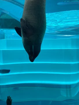 マリンワールド海の中道に投稿された画像（2022/12/4）