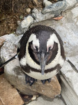 マリンワールド海の中道に投稿された画像（2022/12/4）