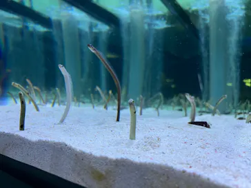 すみだ水族館に投稿された画像（2022/12/4）