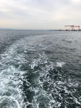 横浜・八景島シーパラダイスに投稿された画像（2022/12/4）