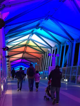 横浜・八景島シーパラダイスに投稿された画像（2022/12/4）