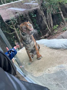 神戸どうぶつ王国に投稿された画像（2022/12/4）